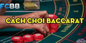Cách chơi baccarat