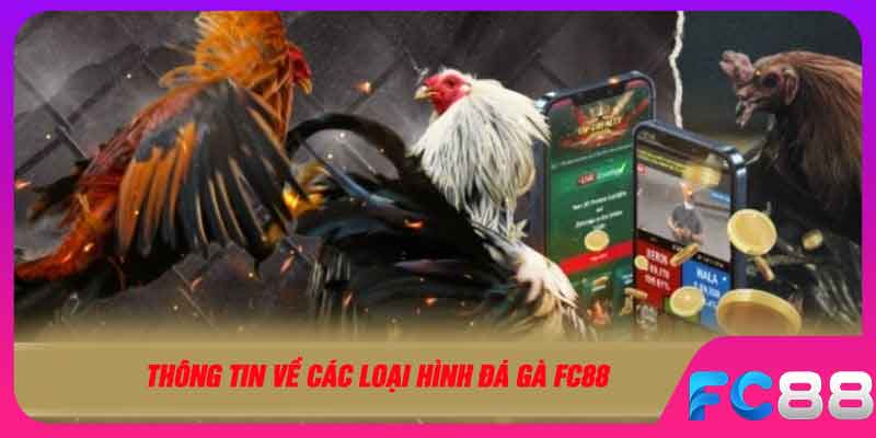 Thông tin về các loại hình đá gà FC88