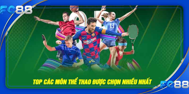 Top các môn thể thao được chọn nhiều nhất 2025