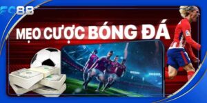 Mẹo cá cược thể thao