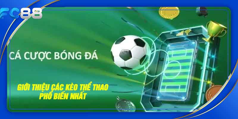 Giới thiệu các loại kèo cược thể thao phổ biến nhất