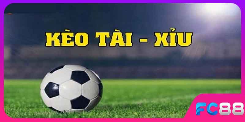 gioi-thieu-ve-keo-tai-xiu