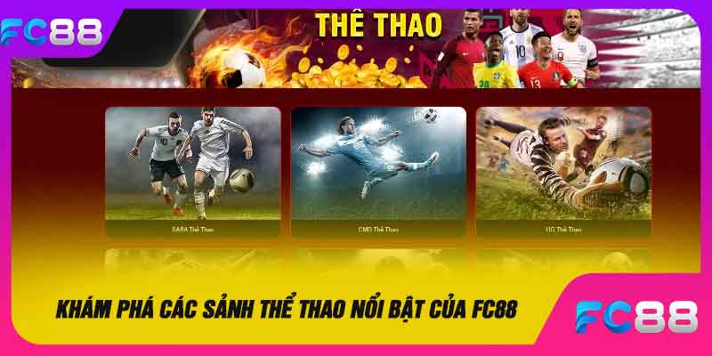 Khám phá các sảnh thể thao nổi bật của FC88